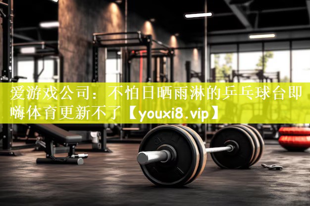 爱游戏公司：不怕日晒雨淋的乒乓球台即嗨体育更新不了
