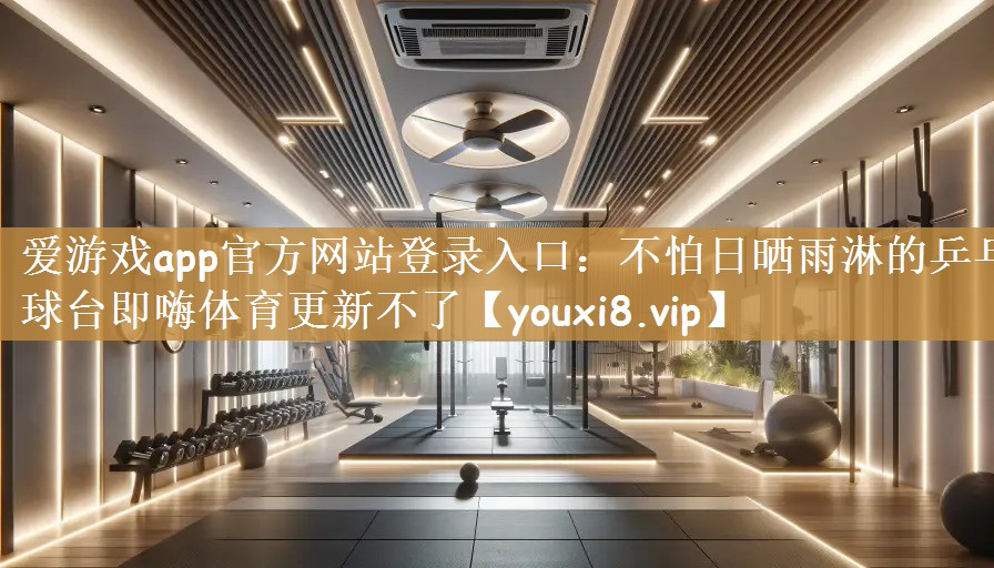 爱游戏app官方网站登录入口：不怕日晒雨淋的乒乓球台即嗨体育更新不了
