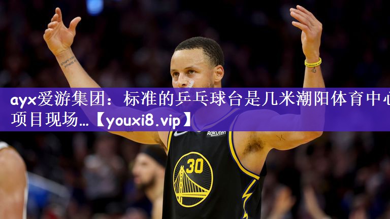 ayx爱游集团：标准的乒乓球台是几米潮阳体育中心项目现场…