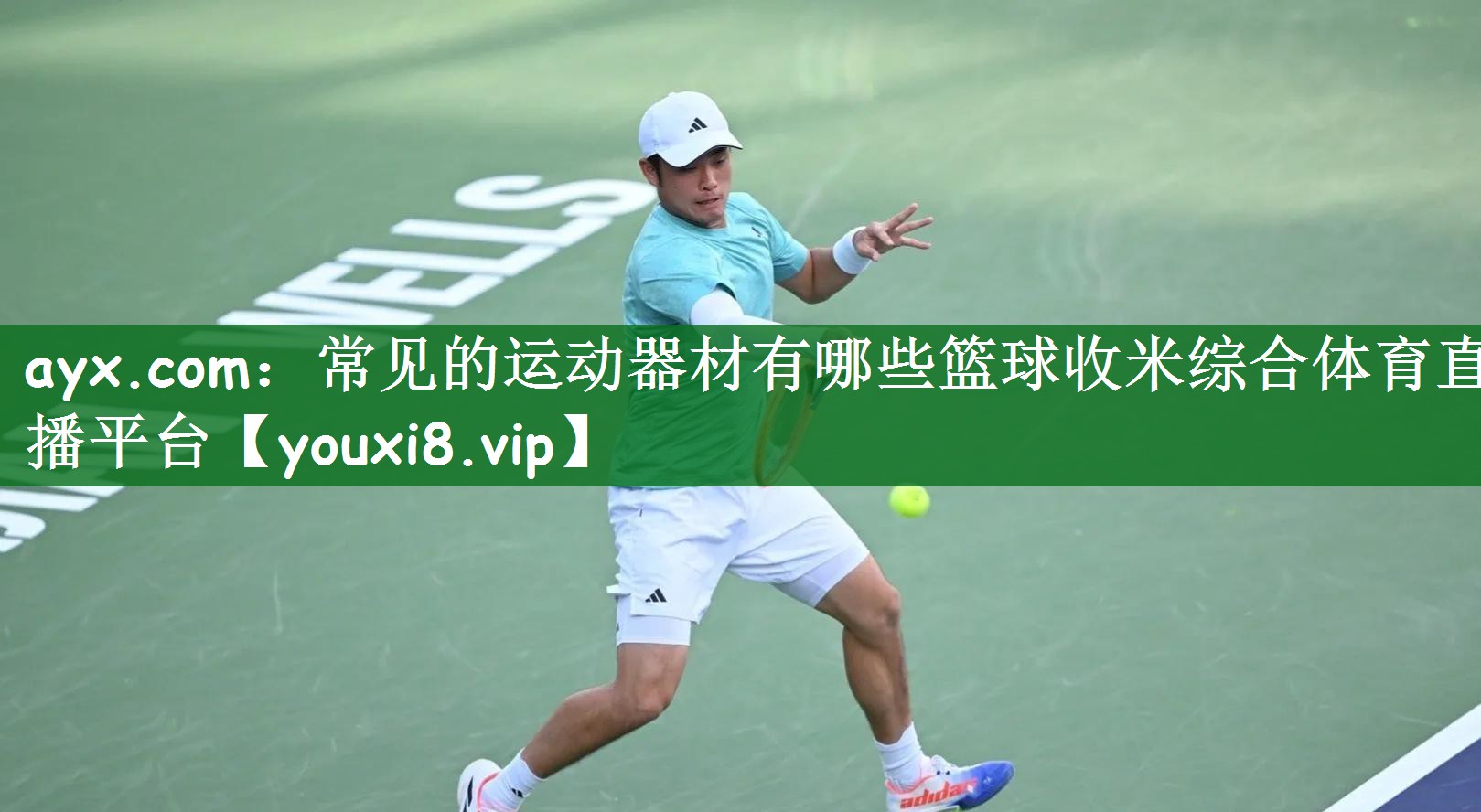 ayx.com：常见的运动器材有哪些篮球收米综合体育直播平台
