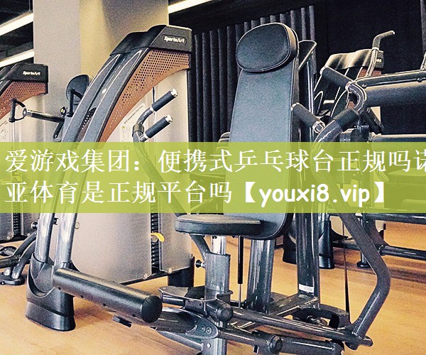 爱游戏集团：便携式乒乓球台正规吗诺亚体育是正规平台吗