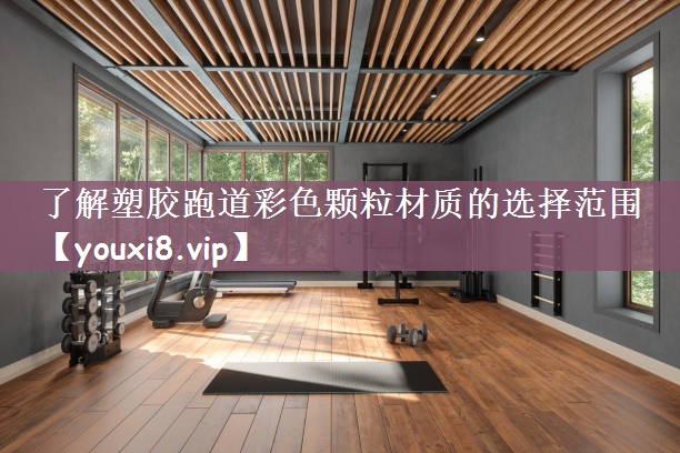 了解塑胶跑道彩色颗粒材质的选择范围