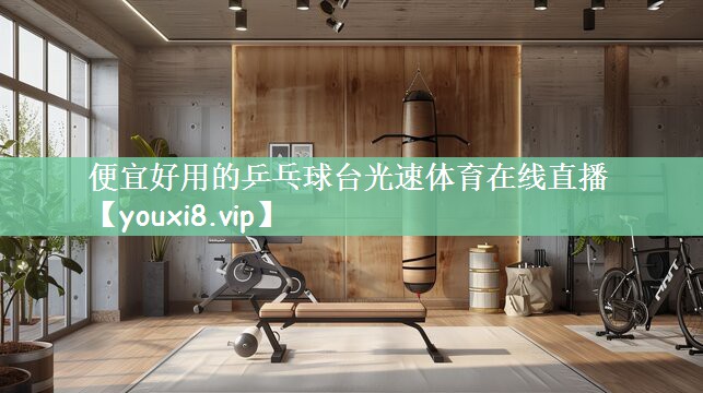 便宜好用的乒乓球台光速体育在线直播