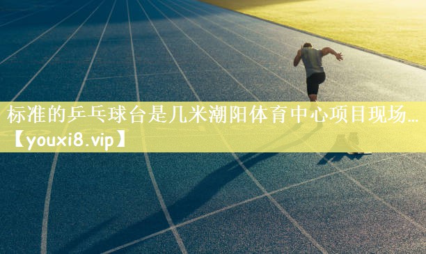标准的乒乓球台是几米潮阳体育中心项目现场…