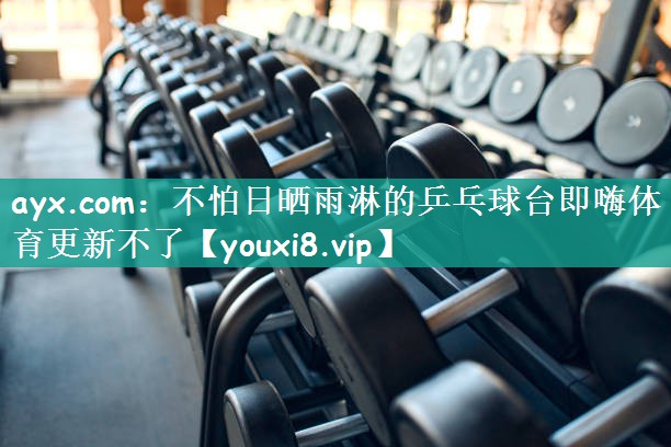 ayx.com：不怕日晒雨淋的乒乓球台即嗨体育更新不了