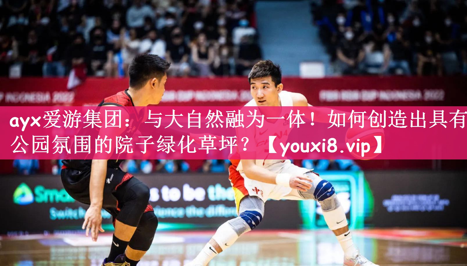 ayx爱游集团：与大自然融为一体！如何创造出具有公园氛围的院子绿化草坪？