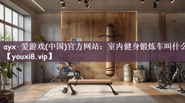 ayx·爱游戏(中国)官方网站：室内健身锻炼车叫什么