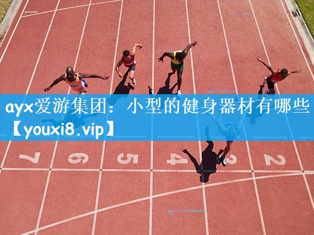 ayx爱游集团：小型的健身器材有哪些