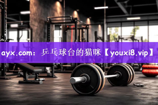 ayx.com：乒乓球台的猫咪