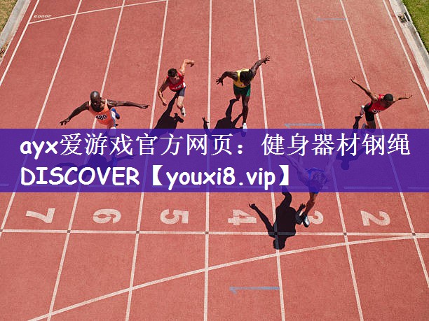 ayx爱游戏官方网页：健身器材钢绳DISCOVER