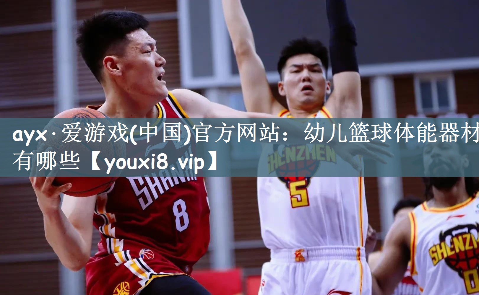 ayx·爱游戏(中国)官方网站：幼儿篮球体能器材有哪些