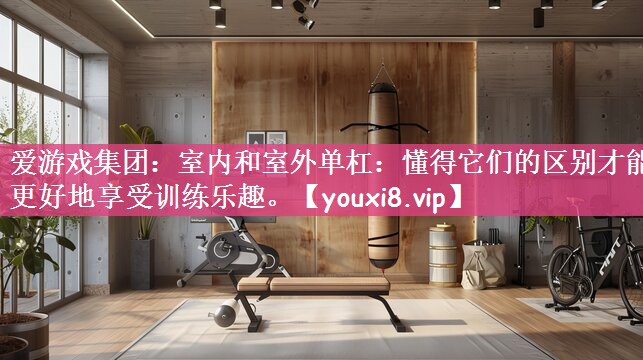 爱游戏集团：室内和室外单杠：懂得它们的区别才能更好地享受训练乐趣。