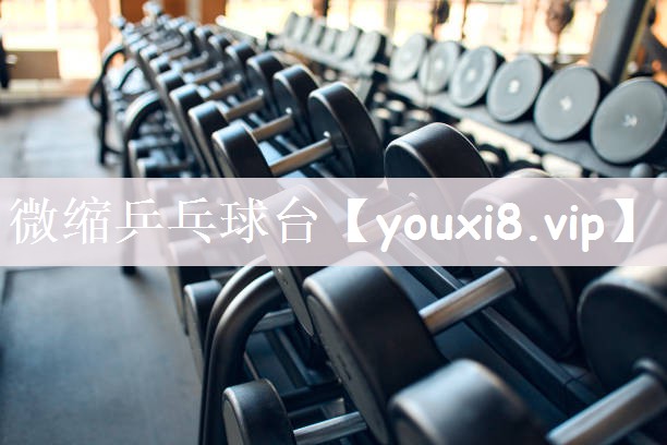 微缩乒乓球台