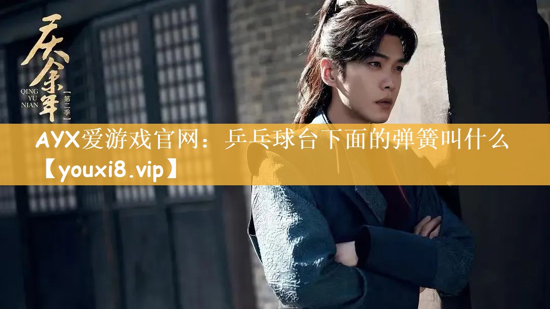 AYX爱游戏官网：乒乓球台下面的弹簧叫什么
