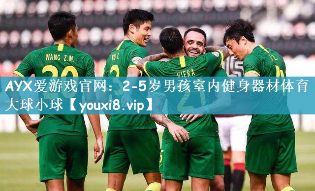 AYX爱游戏官网：2-5岁男孩室内健身器材体育大球小球
