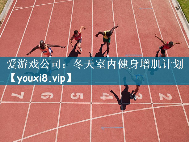 爱游戏公司：冬天室内健身增肌计划