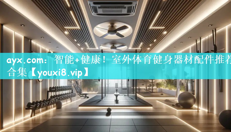 ayx.com：智能+健康！室外体育健身器材配件推荐合集