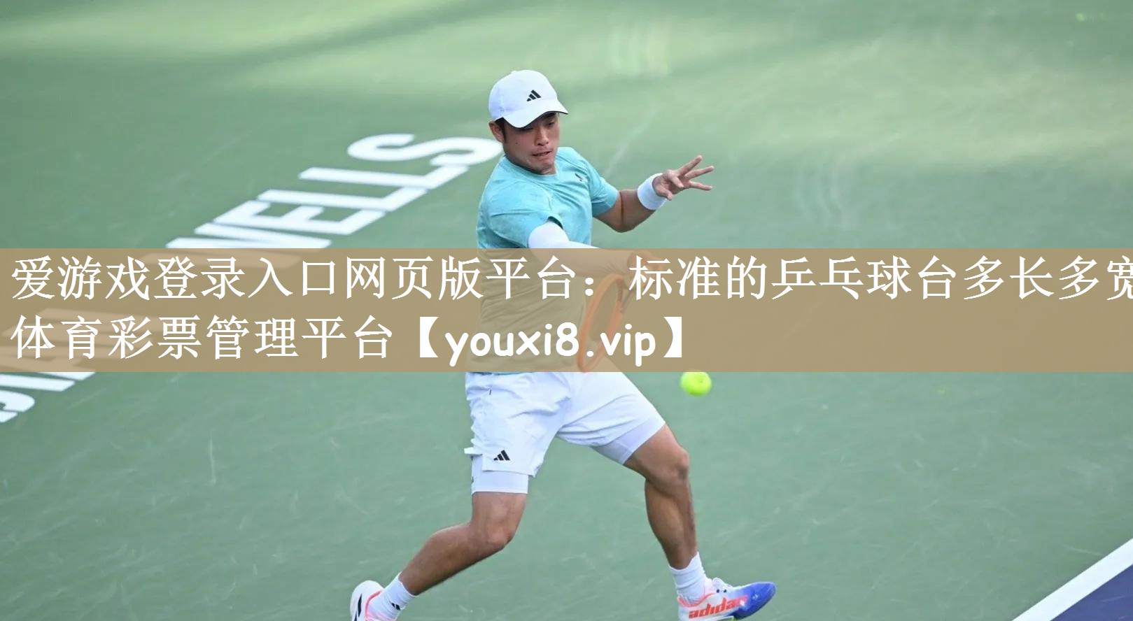 爱游戏登录入口网页版平台：标准的乒乓球台多长多宽体育彩票管理平台