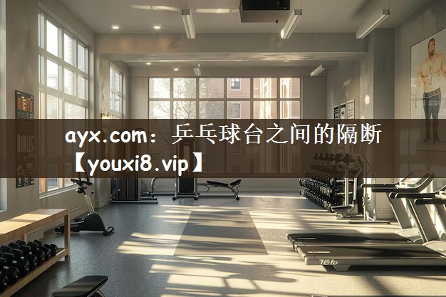ayx.com：乒乓球台之间的隔断