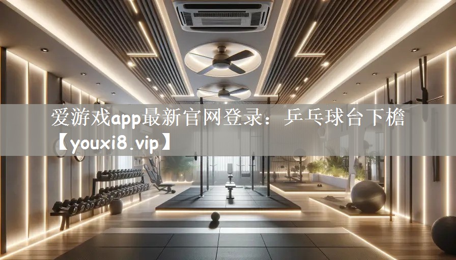 爱游戏app最新官网登录：乒乓球台下檐