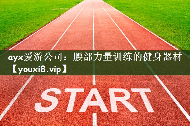 ayx爱游公司：腰部力量训练的健身器材