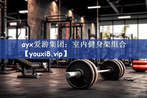 ayx爱游集团：室内健身架组合