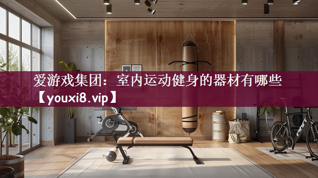 室内运动健身的器材有哪些