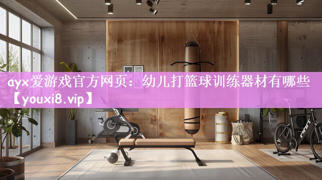 幼儿打篮球训练器材有哪些