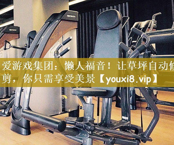 懒人福音！让草坪自动修剪，你只需享受美景