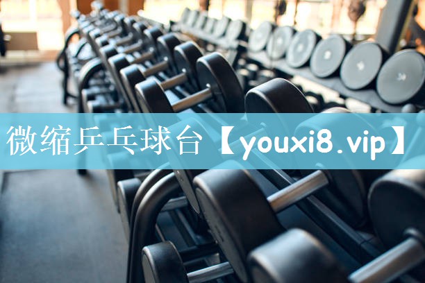 微缩乒乓球台