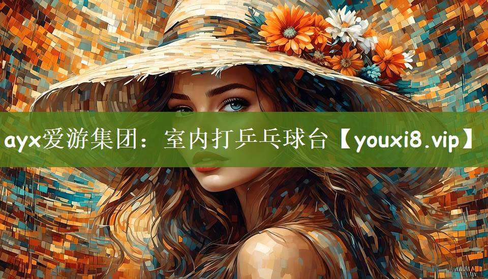 室内打乒乓球台