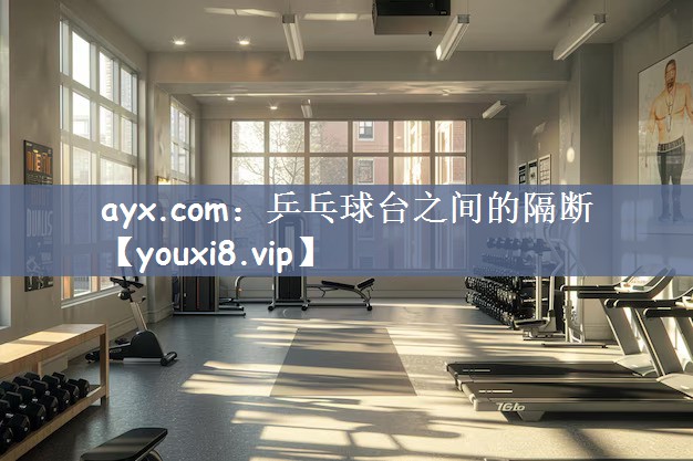 乒乓球台之间的隔断