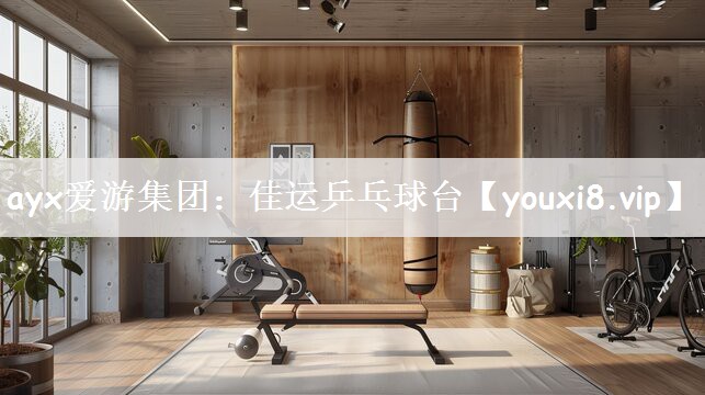 佳运乒乓球台